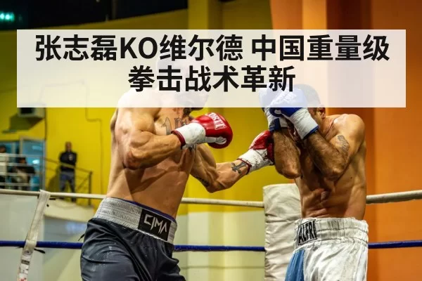 chinese heavyweight boxer